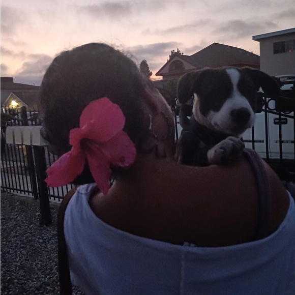 Love your life - Picture 2 of 13